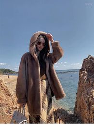 Women's Fur Long Faux Coat Imitation Mink Hooded Coats Women 2023 Winter In Outwear Female Clothing Veste Femme