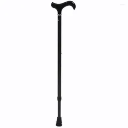 Trekking Poles Black Carbon Walking Stick Cane