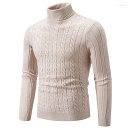 Men's Sweaters 2023 Autumn/Winter Sweater Knitwear High Neck Twisted Flower Solid Colour Fashion Slim Fit Underlay