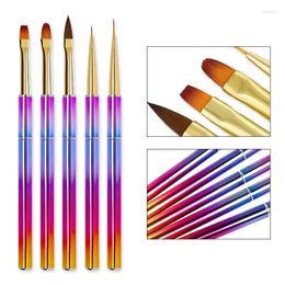 Nail Art Kits Enhancement Colour Painting Pen Hook Flower Pull 5 Pack Rod Potherapy Nylon Vac