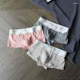 Underpants 3pcs/lot Menccino Men's Panties Cotton Boxers Season Sports Breathable U Bag Trend Youth Quadrangular Shorts