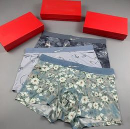 3 peças com caixa de algodão shorts masculinos cuecas respiráveis boxers macios boxers sólidos boxers para homens cuecas boxer carta impressão cuecas curtas XCHDR