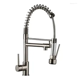 Kitchen Faucets Brush Pull Out Spring Mixer Double Spout Faucet