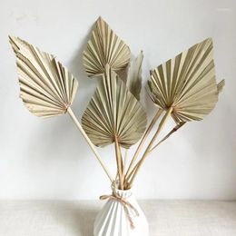 Decorative Flowers 10Pcs Boho Dried Palm Spears Natural Fans Leaves Leaf Fan With Stem Home Decoration