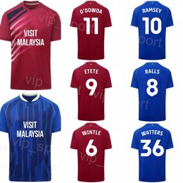 Cardiff Soccer City 12 Ike Ugbo Jersey 2023-24 Club 38 PERRY NG 16 Karlan Grant 21 Jak Alnwick 23 Manolis Siopis 6 Ryan Wintle Football Shirt Kits Team For Sport Fans