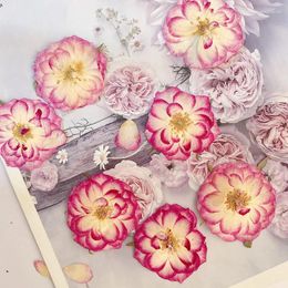Decorative Flowers 2-6cm/12PCS Natural Real Dry Flower Rose Petals DIY Po Frame Bookmarks Desk Lamps Mobile Phone Case Nail Beauty Plant