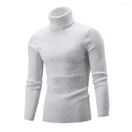 Men's Sweaters Men Autumn Winter Turtleneck Sweater Top Solid Color Long Sleeve High Neck Basic Clothing