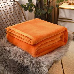 Designer Blanket Coral Blanket Winter Thickened Four Seasons Blanket Single Double Blanket Bed Sheet Nap Blanket Double-sided Blanket Air Conditioning Towel