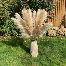 Decorative Flowers Pampas Grass Extra Natural Color Dried Flower Bouquet Fluffy For Boho Vintage Home Interior Wedding Decoration Party