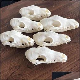 Decorative Objects Figurines 1Pcs-6Pcs Vpes Red Sier Cross Skl Taxidermy Real Bone Skeleton Christmas Decoration Gift 210811 Drop Deli Dh3Qu