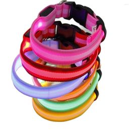 Dog Collars 1pc LED Anti-lost Collar Glowing Luminous Safety Night Light Flashing Necklace For Small Medium Large Dogs Leads