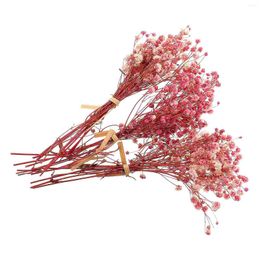 Decorative Flowers 3 Bunches Dried Flower Bouquet Mini Artificial Baby Christmas Tree