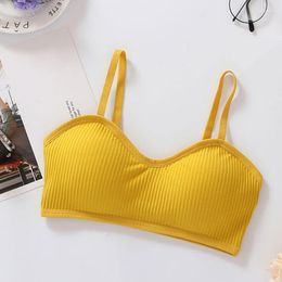 Bustiers & Corsets Sexy Bras For Invisible Women Push Up Lingerie Padded Bralette Wrap Top Bra Bustier Female UnderwearBustiers