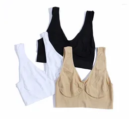 Yoga Outfit 3Pcs/set Professional Sports Women Sexy Push-up Bra Fitness Vest Workout Running Anti-sweat