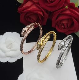 Elegante braccialetto con design a forma di serpente Bracciale di alta qualità impreziosito da diamanti in due opzioni di colore. Regalo elegante e squisito