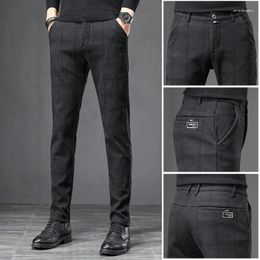 Men's Pants Checkered Korean Version Slim Fitting Straight Tube Loose Casual Western Small Leg