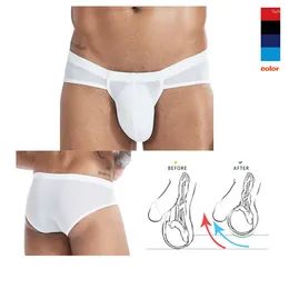 Underpants Men's Ice Briefs Big Bag Comfortable Breathable Shorts Man Bulge Penis Pouch Underwear Elastic Cock U-Convex Dick Sex Boxers