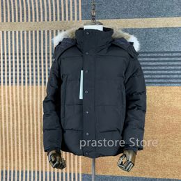 Kanada pufferjackor män designer riktig päls utomhus wyndham vindbrytare jassen ytterkläder huva fyrre manteau down jacka kappa hiver parka doudoune