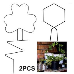 Garden Supplies Other 2PCS Black Iron Trellis For Climbing Plants Rust Free Vine Plant Metal