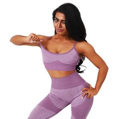 2 piece Yoga Sets Women Gym Clothes For Women Sports Wear Leggings Padded Bras Fitness Suits Seamless Set4205042