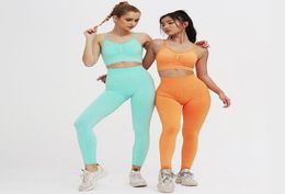 woman yoga set 2pcs Women Seamless High Waisted Sports Sets Yoga Sets Women Gym Clothes Sports Wear for Gym 8 colors7745184