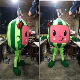 New Adult Halloween Christmas Watermelon Mascotte Fancy Cartoon Mascot Costume Plush Fancy Dress Mascot Costume