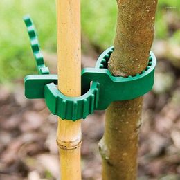 Garden Supplies Other 10Pcs Reusable Adjustable Tree Fixing Buckle Plastic Climbing Plants Ties Plant Cages