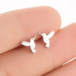 Stud Earrings Hummingbird Ear Piercing For Women Small Animal Bird Stainless Steel Body Jewellery Cartilage Earring Pendientes