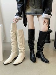 Thick Heels, Small Crowd, Pointed Pleated Push Boots, Women's Shoes, 2023 Autumn/Winter Velvet White Knight Boots 231028