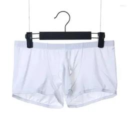 Underpants Men's Ice Silk Penis Underwear Gay Elephant Nose Boxer Shorts Sex Appeal Hole Convex Egg Erotic Man Trunk