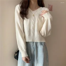 Women's Sweaters Woman Pullover Loose Top Women 'S Clothing Fall V-neck Sweater Coat Cardigan