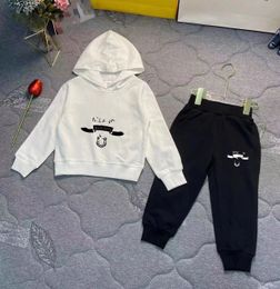 Mens Hoodies Moletons 2-13 anos Crianças Conjuntos de Roupas BEBÊ Meninos Meninas Outono Inverno Padrão Crianças Designer Suéter Terno Crianças Calças Com Capuz 2 Peças Set AAA