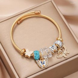 Bangle Butterfly Stainless Steel Bracelet For Women Simple Gradient Mori Cuff Bracelets Small Fresh Adjustable Jewellery