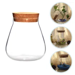 Vases Kitchen Storage Jar Pantry Glass Containers Landscape Terrarium DIY Crafts With Cork Sealing Lid For Cereals Airtight