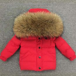 Down Coat Children Winter Jacket With Raccoon Fur Toddler Outwear Kids Short Version Warm For Baby Boys Grils 0-10 Years