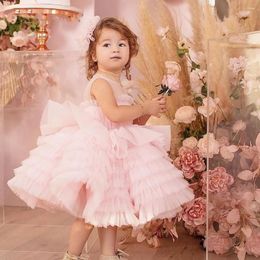 Girl Dresses Cute Pink Flower Dress For Wedding Tulle Puffy Sleeveless Ruffles Layered Kids Birthday Party Pageant First Communion Gowns