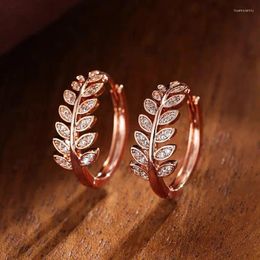 Hoop Earrings Trendy Crystal Gold/ Silver Colour CZ Leaves Plants Flower Drop OL Party For Women Girls Gift Jewellery