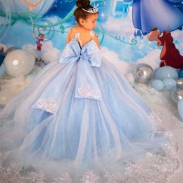 Girl Dresses Simple Flower Dress Light Blue Illusion Long Sleeve Maxi Satin Sparkling Fluffy Tulle Ball Gown Communion