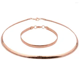 Necklace Earrings Set Granny Chic 316L Stainless Steel Snake Chain Rose Gold Colour Choker And Bracelet For Women Jewellery