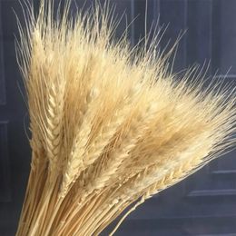 Christmas Decorations Dry Flowers Natural Decors Wheat Ear Real for Resin Home Decoration Wedding Garlands Decor Bouquets Flower Arrangements 231027