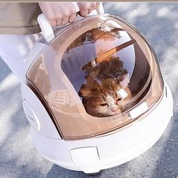 Cat Carriers Designer Carrier Cute Travel Portable Breathable Luggage Plastic Outdoor Case Transparent Kedi Malzemeleri Pets