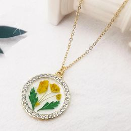 Pendant Necklaces Renya Real Dried Flower Round Short Necklace Eternal Rhinstone For Women Romantic Jewelry Accessories Gift