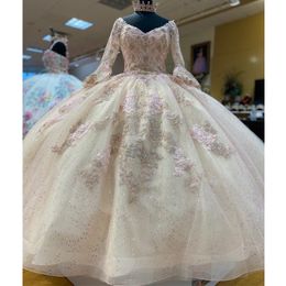 Champagne Glitter Sequined Crystal Quinceanera Dresses puffy skirt Long Sleeve Applique Beads Lace-up Corset Vestidos De XV Anos