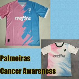 23/24 Palmeiras Cancer Awareness Goalkeeper pink Soccer Jerseys 2024 Home green BRENO LOPES RONY G.GOMEZ Shirt Away D.Barbosa Goalkeeper kids kit football uniforms