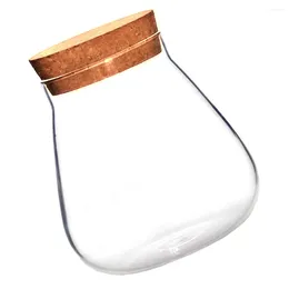 Vasos artesanato garrafa de vidro de cortiça viagem chá café vasilha tampa suculenta pote
