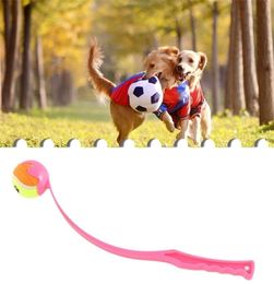 Dog Toys Chews Pet Tossing Toy Ball Club Dog Training Fluorescent Thrower Outdoor With Tennis Training Throwing Toy Pet Interactiv8290930