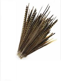 2021 Whole 100Pcslot beautiful natural pheasant tail feathers 4045cm1618inches4659740