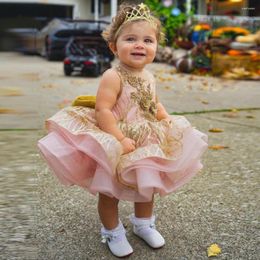 Girl Dresses Ruffles Pink Flower Dress For Wedding Puffy Sequins With Bow Hollow Back Kids Birthday Patry First Communion Wear