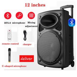 Portable Speakers 150W 12 inch subwoofer karaoke bluetooth speaker column outdoor portable square dance speaker wireless microphone TF AUX U Disc