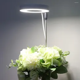 Grow Lights Plant Light Led Energy Efficient Full Spectrum For Bonsai Flower Plants With Wide Illumination Range